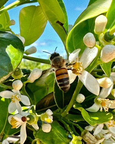 Photo post from howefarming.