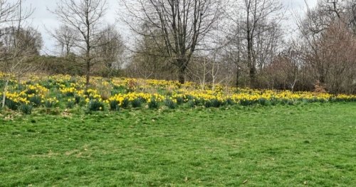 Photo post from kasarstays.