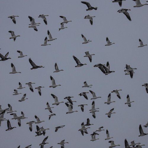 Photo post from northernskiesoutfitters.