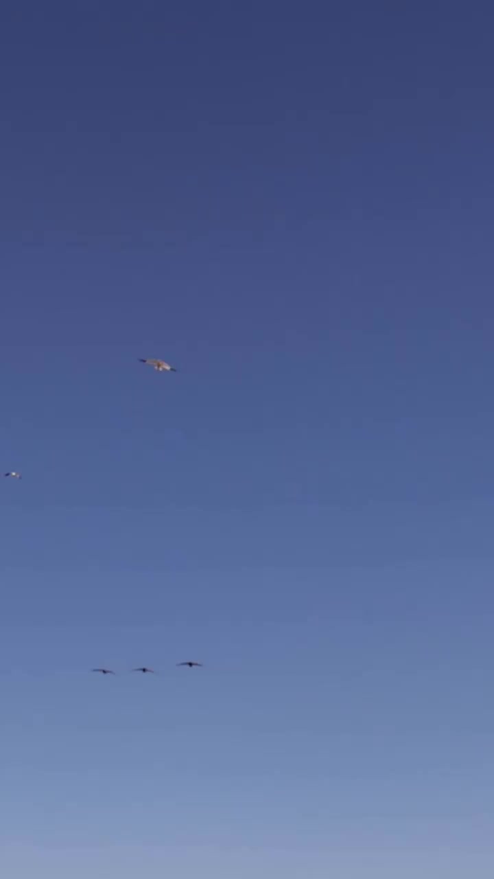 Video post from northernskiesoutfitters.