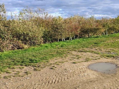 Photo post from kasarstays.