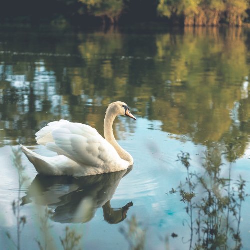 Photo post from camillaripani.