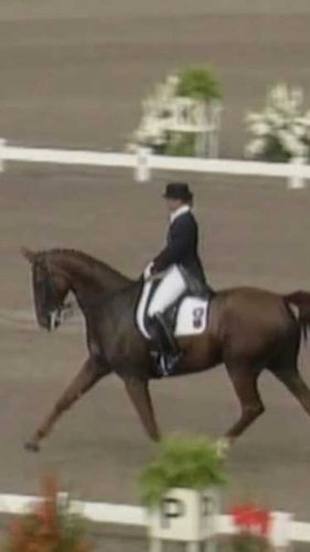 Video post from fei_global.