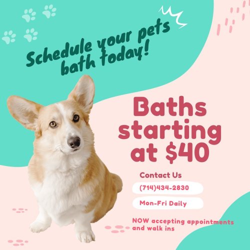 Photo post from familyanimalhospitalcm.