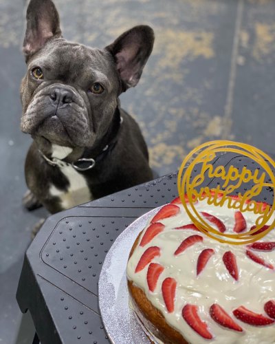 Carousel post from k9playtimedoggydaycare.