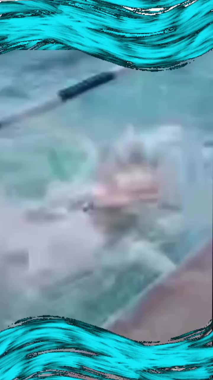 Video post from cacflatirons.