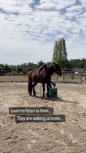 Video post from __amber_lydic__.