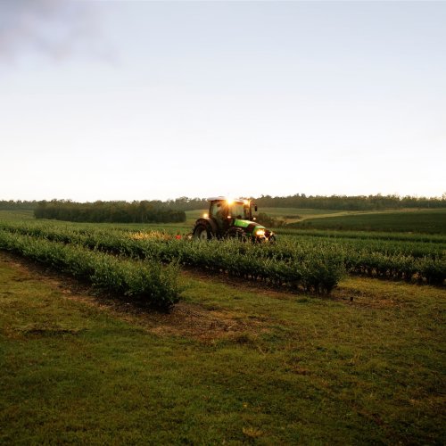 Carousel post from comvita_nz.