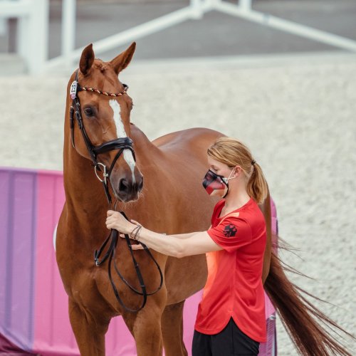 Photo post from fei_global.