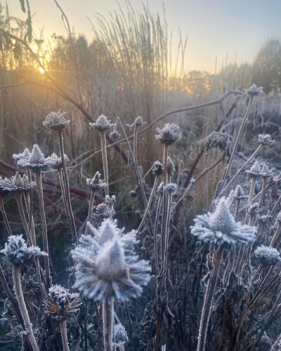 Photo post from sussexprairies.