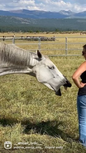 Video post from __amber_lydic__.