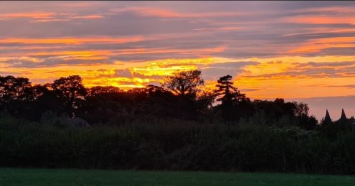 Photo post from kasarstays.