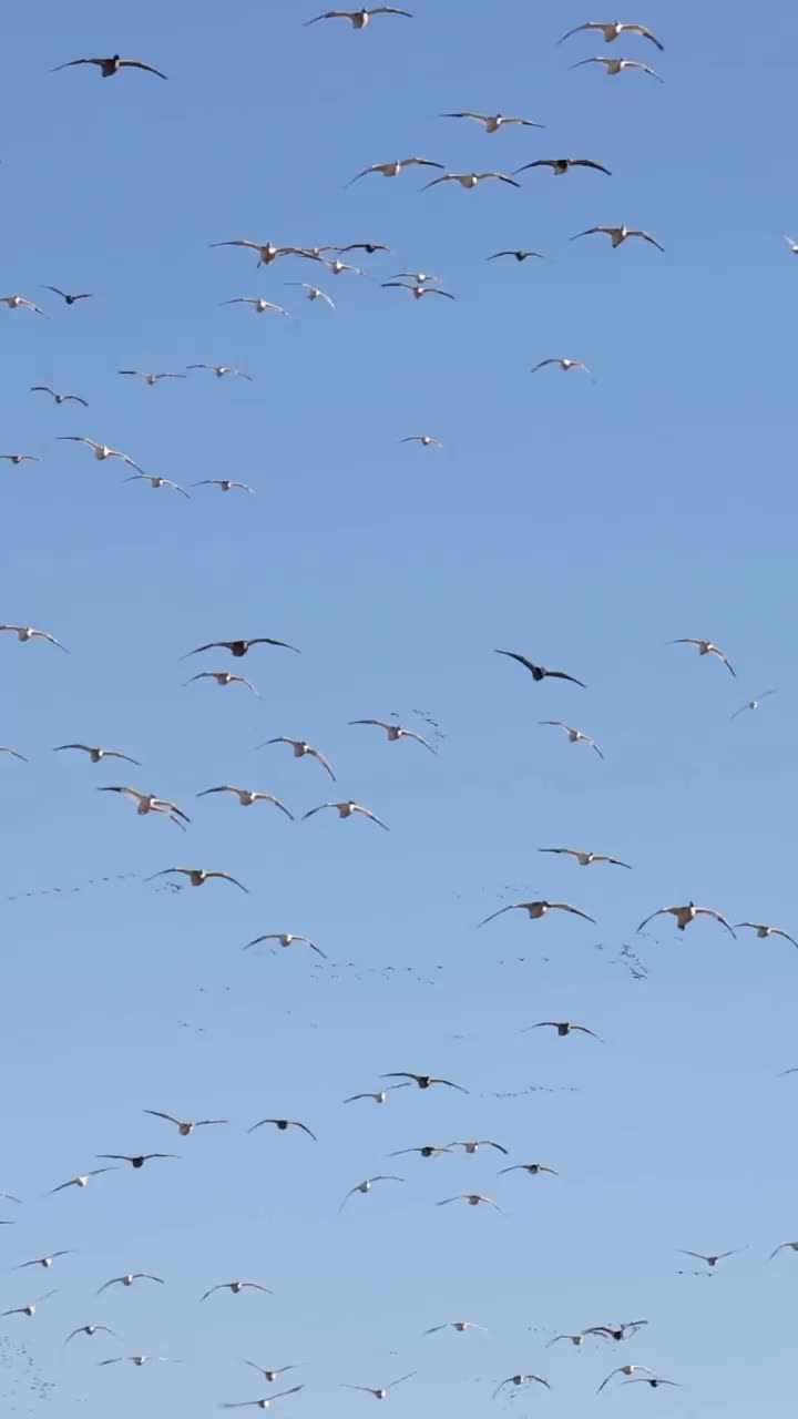 Video post from northernskiesoutfitters.