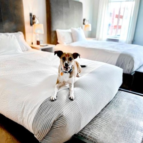 Photo post from hotelonnorth.
