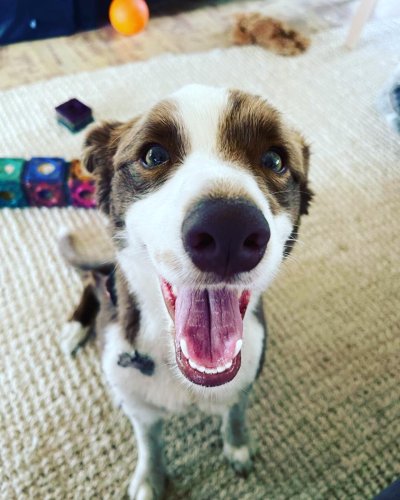 Photo post from the_station_hunter_valley.