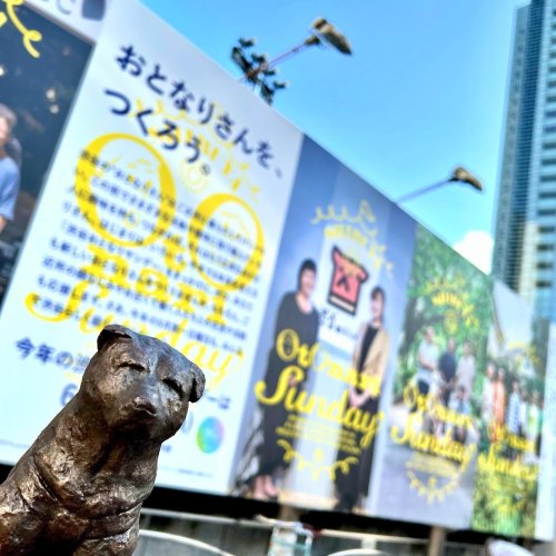 Carousel post from city_shibuya_official.