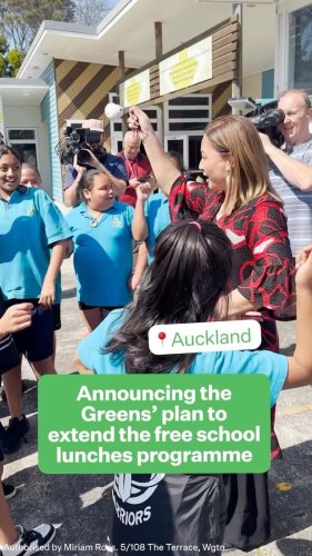 Video post from nzgreenparty.