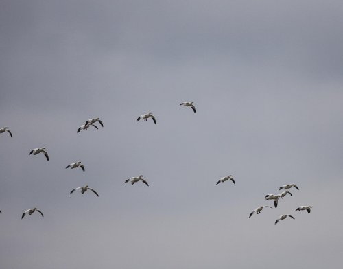 Photo post from northernskiesoutfitters.