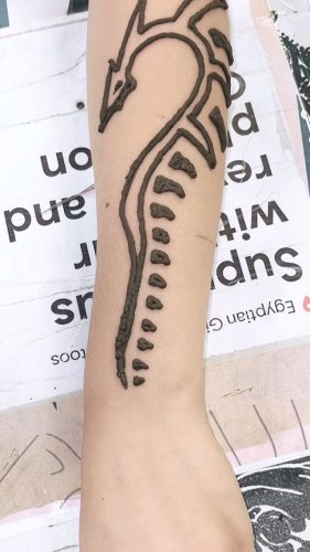 Video post from egyptian_henna_tattoos_florida.