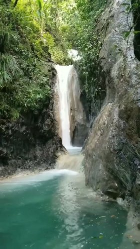 Video post from thingstodoinjamaica.
