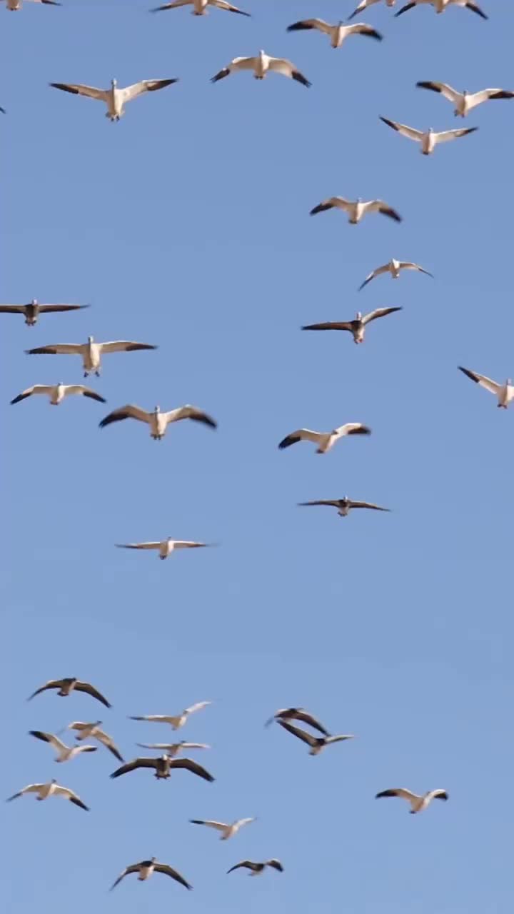 Video post from northernskiesoutfitters.