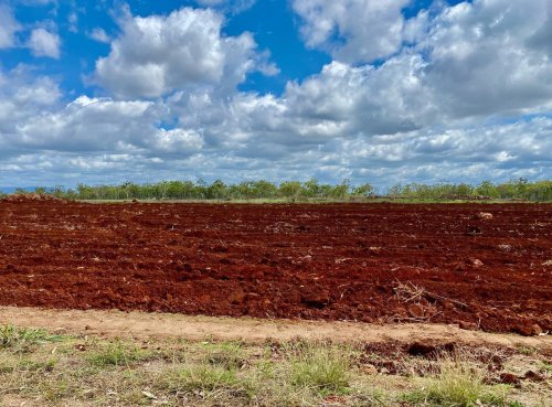 Photo post from howefarming.