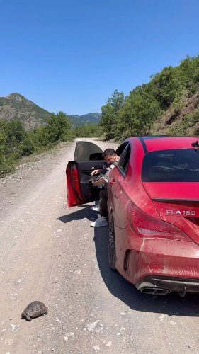 Video post from mehmetenliogluofficial.