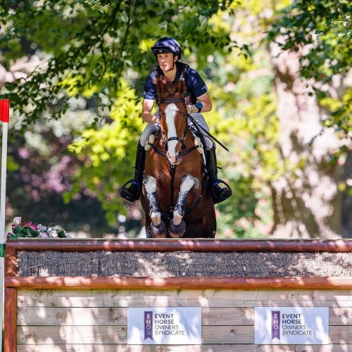 Carousel post from fei_global.