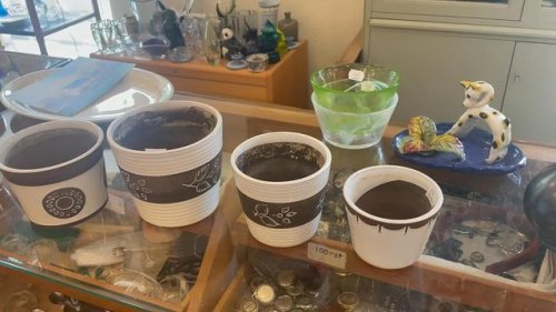 Video post from ulva_diversehandel.