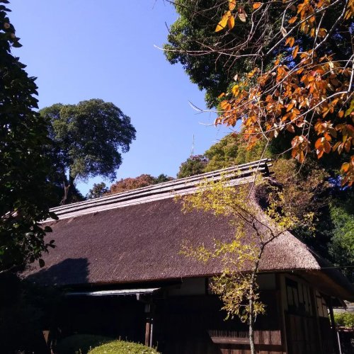 PostPhoto