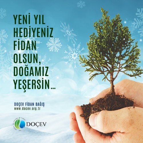 Photo post from dogavecevrevakfi.