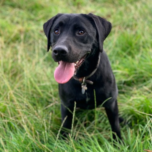 Photo post from themoathouse.