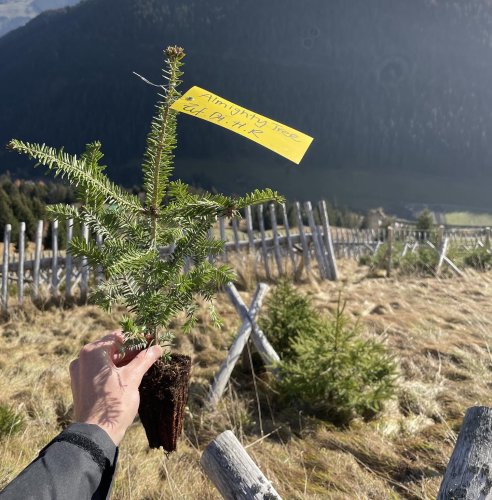 Carousel post from ricardo_ch.