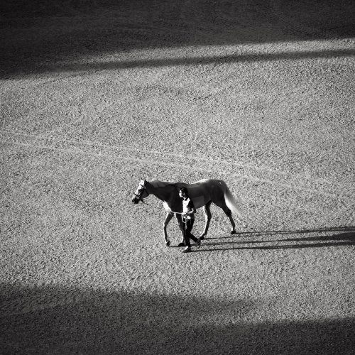 Carousel post from fei_global.