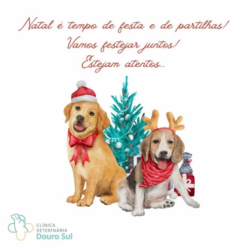 Photo post from clinica_veterinaria_dourosul.