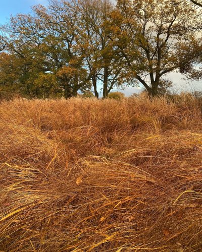 Photo post from sussexprairies.