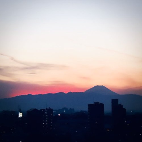 Photo post from city_shibuya_official.