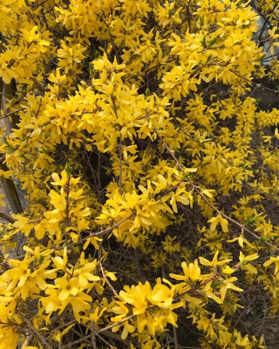 Carousel post from nydreamer7.