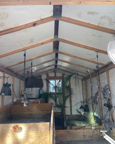 Carousel post from carapacecritters.