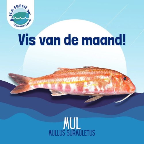 Photo post from seafreshurk.