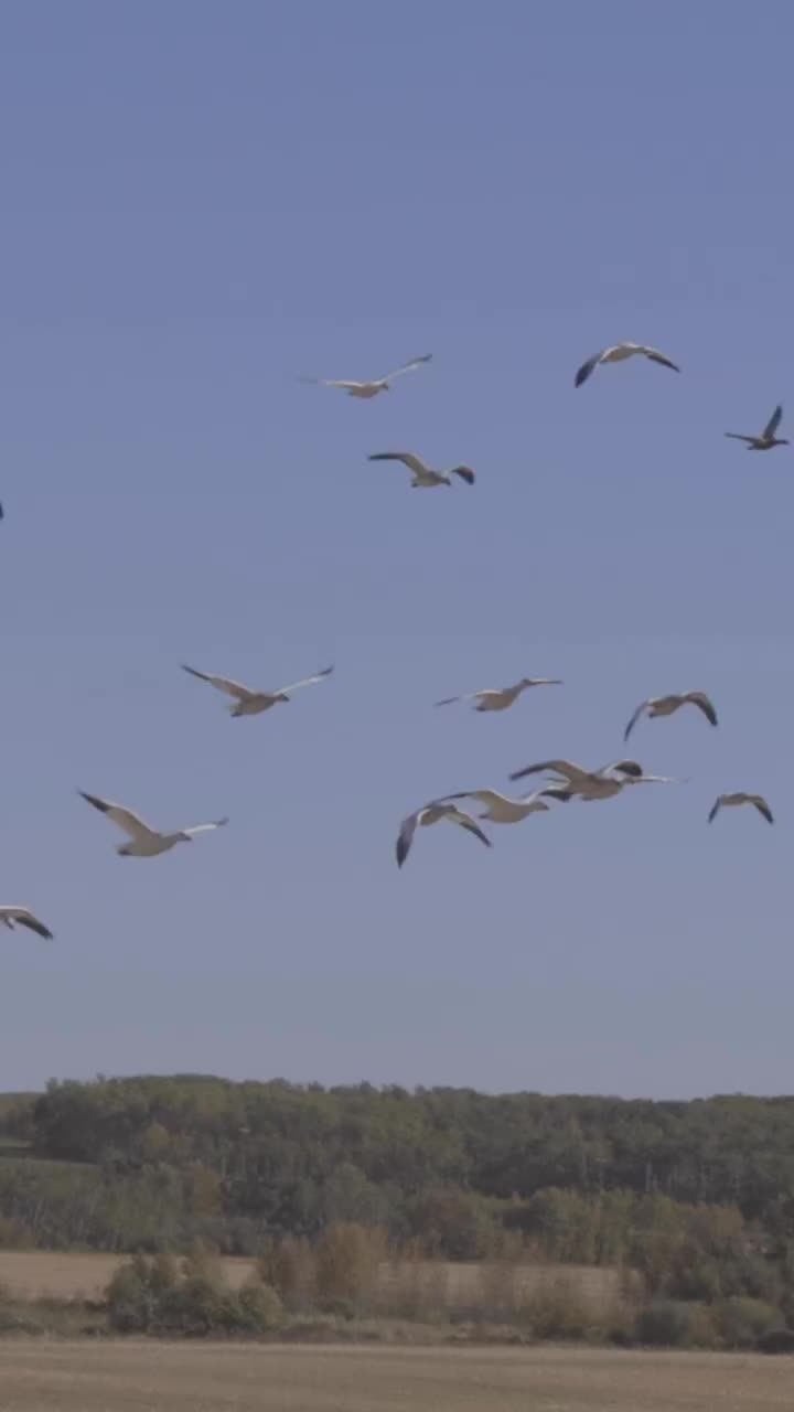 Video post from northernskiesoutfitters.