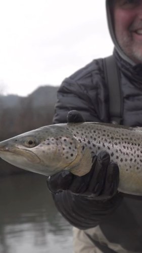 Video post from confluenceoutfitters.