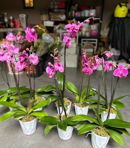 Photo post from la_gifteria.