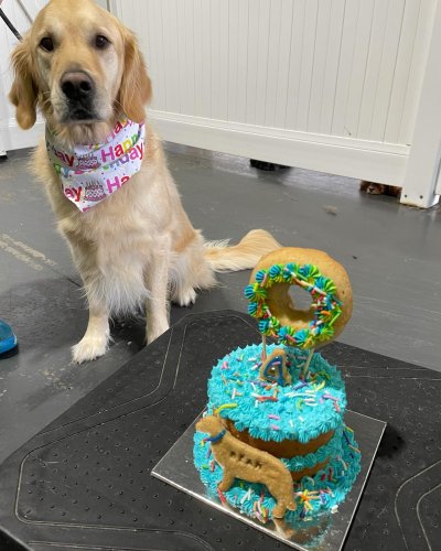 Carousel post from k9playtimedoggydaycare.