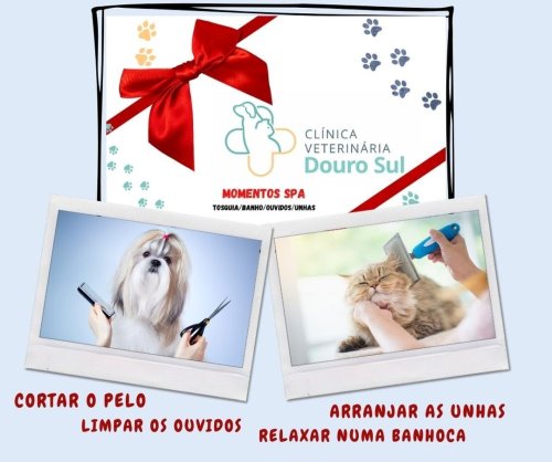 Photo post from clinica_veterinaria_dourosul.