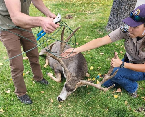 Carousel post from nwfoutdoors.