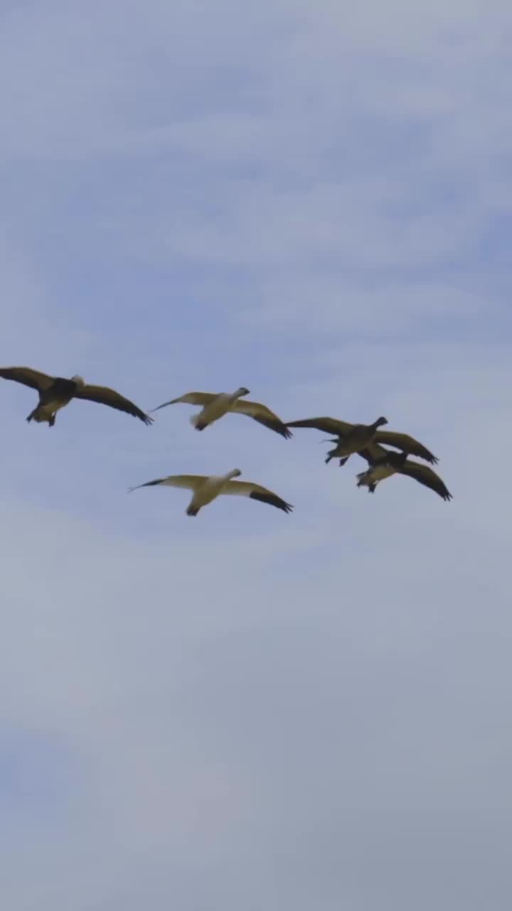 Video post from northernskiesoutfitters.