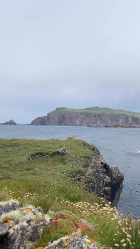 Video post from dinglepeninsulatourism.