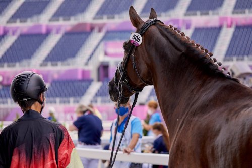 Carousel post from fei_global.