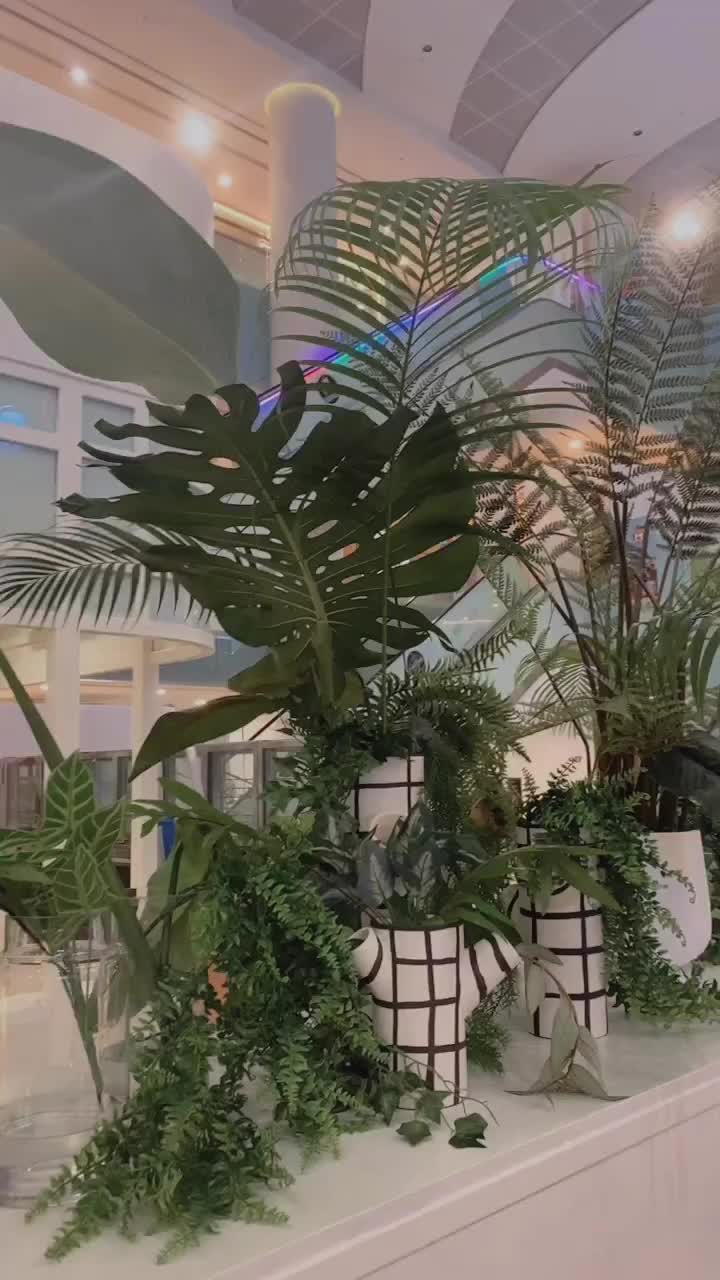 Video post from crane_living.